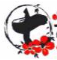 七天辅助网_最新可用网址 | 持续更新不失效