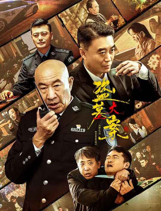 盗墓大案 追捕行动  _ 高清无删减在线观看