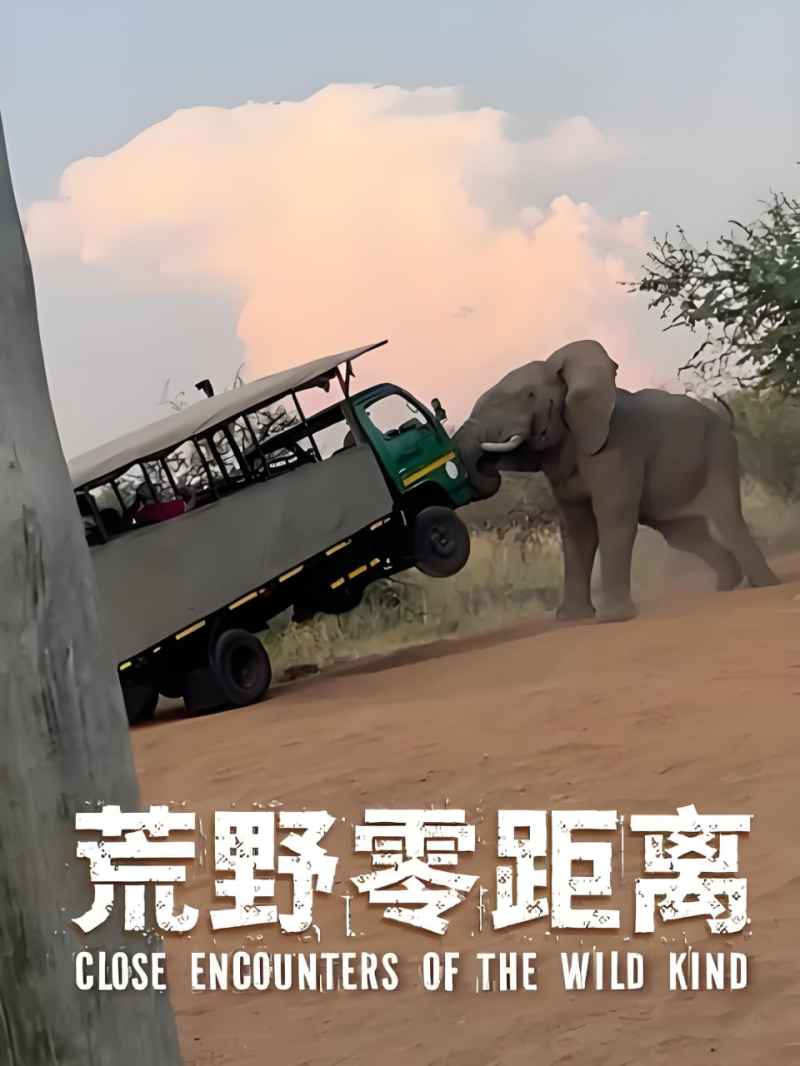 荒野零距离 _ 高清无删减在线观看