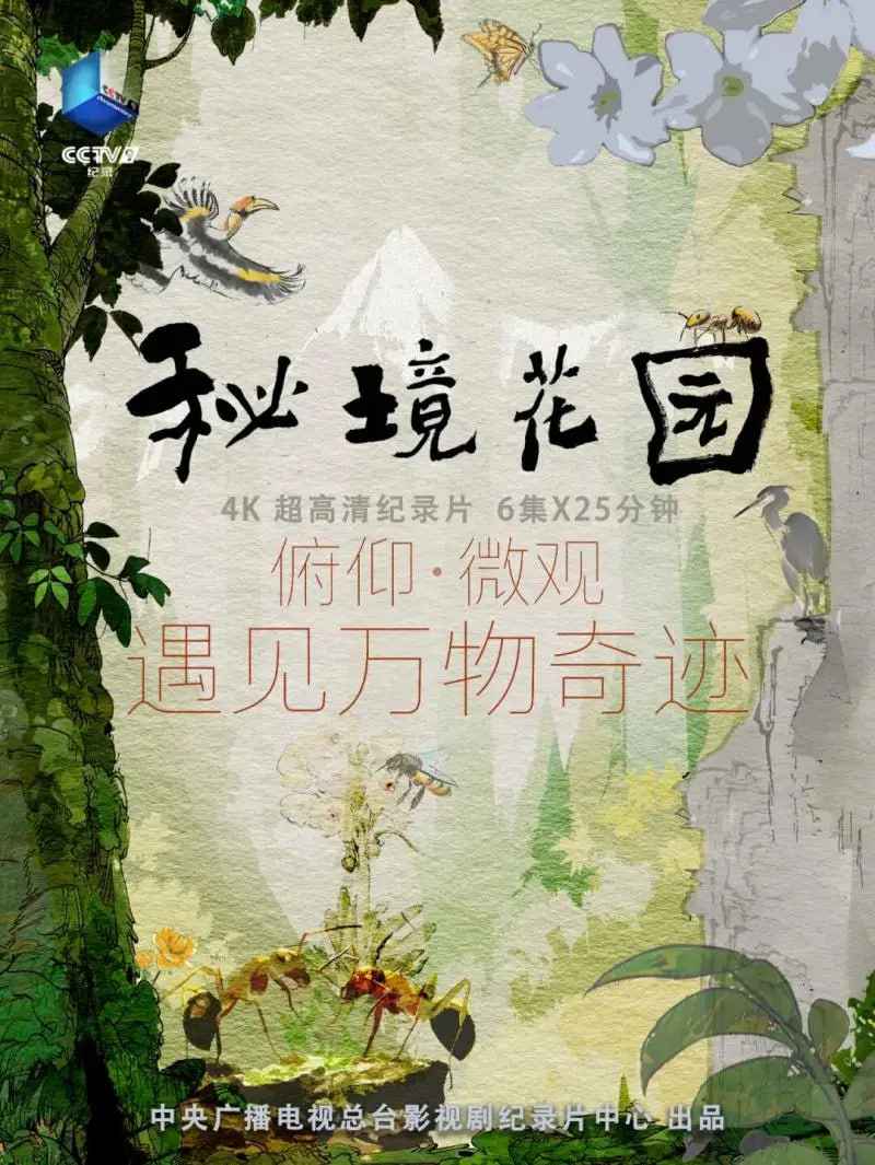 秘境花园 _ 高清无删减在线观看