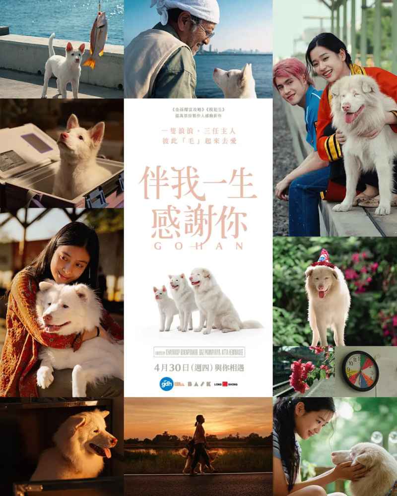 心犬相随 _ 高清无删减在线观看