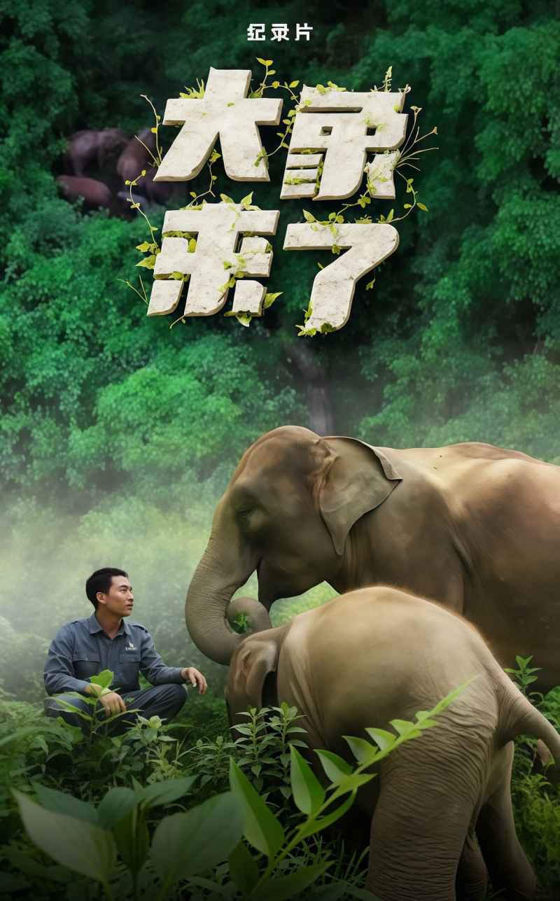 大象来了 _ 高清无删减在线观看