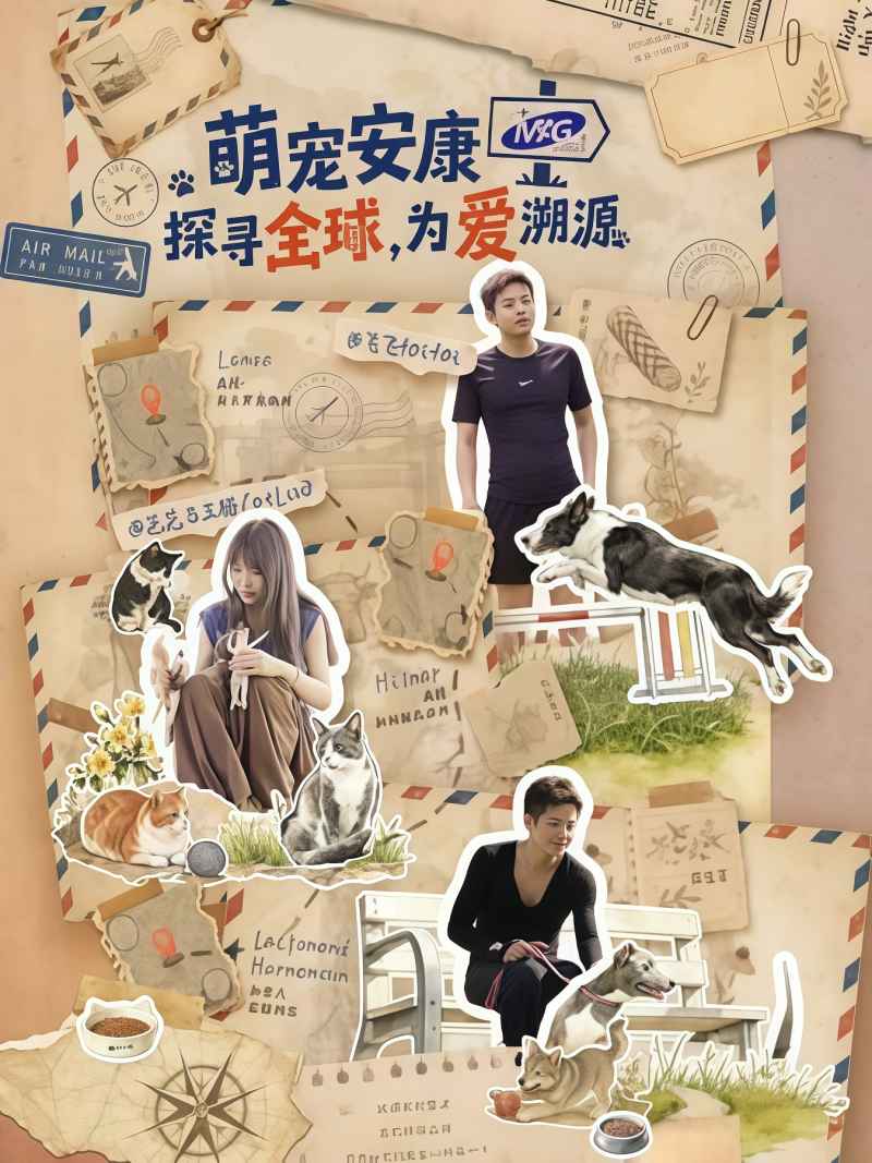 探寻全球，为爱溯源 _ 高清无删减在线观看