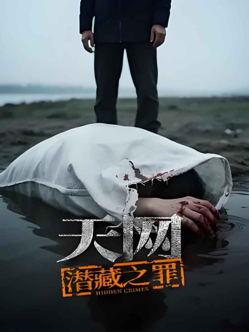 天网：潜藏之罪 _ 高清无删减在线观看